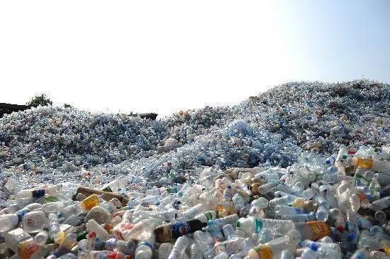 Plastic bottle recycling in practice